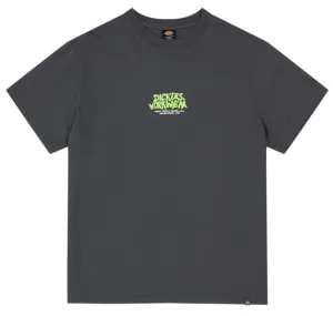 Dickies Workwear 450 Tee / Charcoal